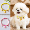 pawlyeden pet accessories collection banner