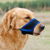 Behavior Management pet product collection banner