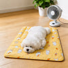 Blankets and mats collection banner for pet homes