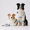 Boots, socks, and protective gear collection banner