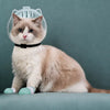 Dog and cat supplies collection banner