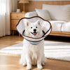 Dog Supplies collection banner