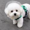 Outdoor Gear collection banner for pets