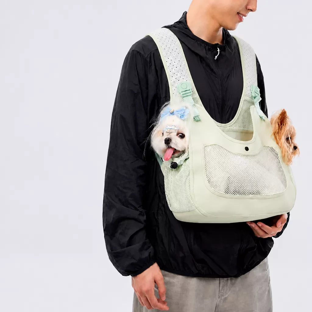 Walking & Travel pet supplies collection banner