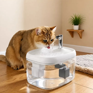 Waterers & Fountains collection banner