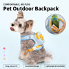 Harness and Leash for Small Dogs and Cats