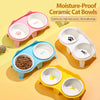 Elevated Double Ceramic Cat Bowls with Stand