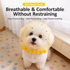 Breathable Mesh Muzzle for Small Dogs