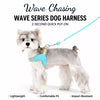 Nylon Rope Dog Leash