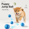 Squeaky Bouncing Ball Dog Toy