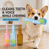 Puppy Squeaky Bottle Dog Toy for Interactive Chew Play
