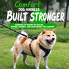 Lightweight Adjustable Nylon Dog Harness with Leash