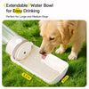 Portable Dog Water Bottle for Walks