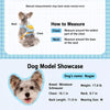 Harness and Leash for Small Dogs and Cats