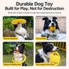 Interactive Dog Toy for Training & Play – Flying Disc, Tug Ring or Ball