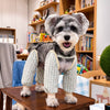 Lightweight Long-Leg Dog Pants for Outdoor Walks