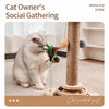 Cat Scratching Post with Interactive Treat Toy
