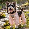 Lightweight Long-Leg Dog Pants for Outdoor Wear