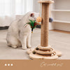 Cat Scratching Post with Interactive Treat Toy