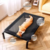 Elevated Mesh Cot-Style Dog Bed with Iron Frame