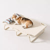 Elevated Dog Cot with Nylon Cover and Stainless Steel Frame
