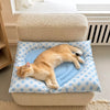 Waterproof PVC Pet Resting Mat for Cats and Small Dogs