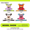 Adjustable Polyester Vest-Style Dog Harness and Leash Set
