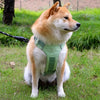 Adjustable Nylon Dog Harness with 59.1-Inch Leash