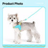 Nylon Rope Dog Leash