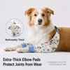 Dog Front-Leg Sleeve