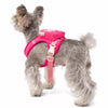 Pet Chest Carrier for Dogs and Cats