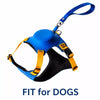 Nylon Dog Harness and Leash Combo