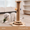 Cat Scratching Post with Interactive Treat Toy