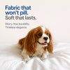 Memory Foam Pet Bed Mat for Small Dogs, Removable & Washable