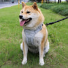 Lightweight Adjustable Nylon Dog Harness with Leash