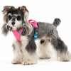 Adjustable Vest-Style Dog Harness with Leash