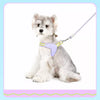 Nylon Rope Dog Leash