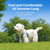 Adjustable Magnetic Vest Harness for Small Dogs