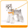 Nylon Rope Dog Leash
