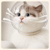 Transparent Cat Cone Collar for Grooming and Routine Care