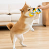 Squeaky Slipper Dog Toy for Small Dogs