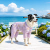 Mesh Four-Leg Dog Shirt with Printed Design
