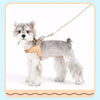 Nylon Rope Dog Leash