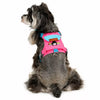Adjustable Vest-Style Dog Harness with Leash