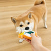 Squeaky Slipper Dog Toy for Small Dogs
