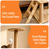 Large Solid Wood Cat Tree with Enclosed Capsule Spaces