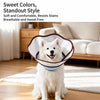 Plastic Dog Recovery Cone