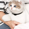 Cat Protective Cone Collar for Grooming