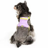 Adjustable Polyester Vest-Style Dog Harness and Leash Set