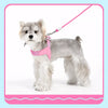 Nylon Rope Dog Leash